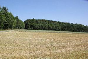 Vierecksschanze-Aßmannshardt