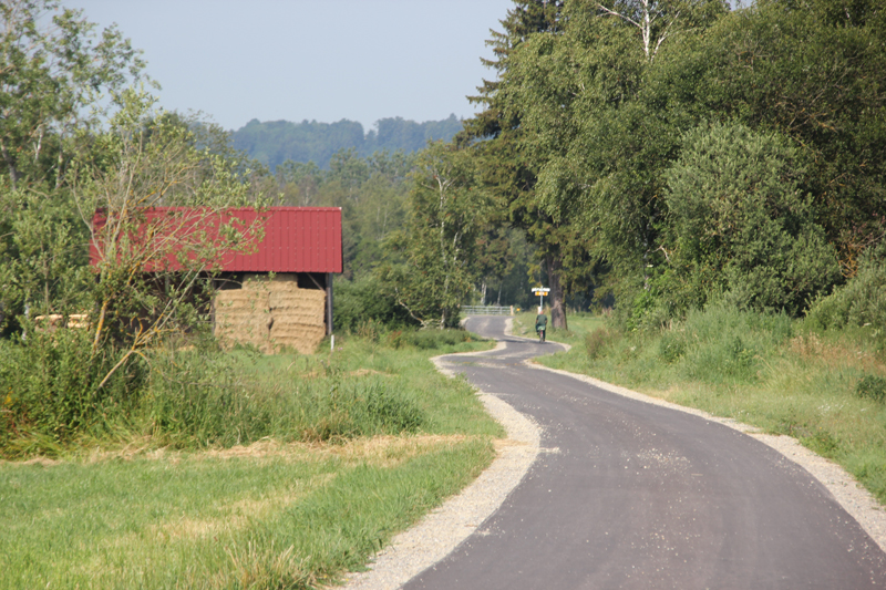 Riedhausen – Wilhelmsdorf | Wanderung durch’s Pfrungener Ried