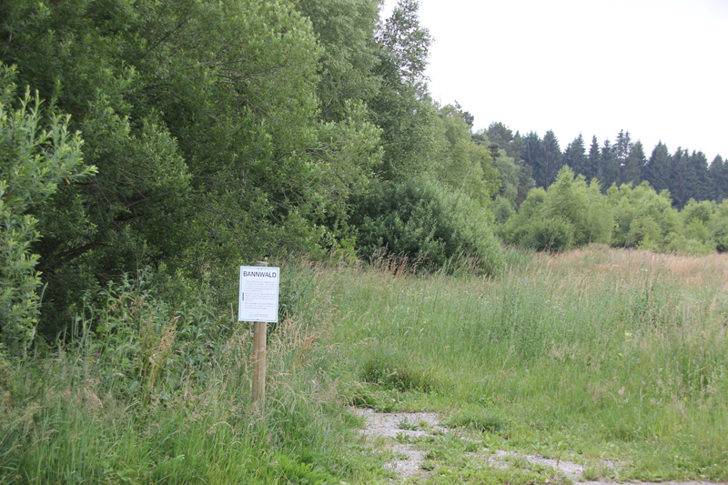 Bannwald Umgebung Ostrach
