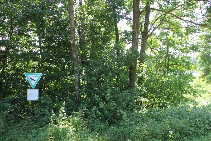 Frühkeltische Höhensiedlung | Hochberg Bad Saulgau-Bierstetten