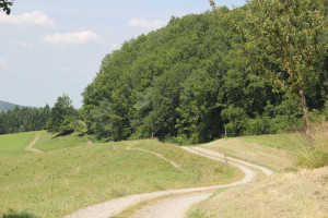 08 Feldweg Deggenhauser Tal