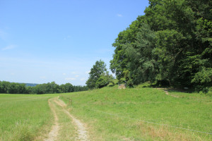10 Kurve auf Weg