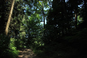 11 Waldweg Deggenhauser Tal