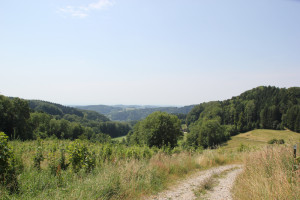 14 Blick auf Deggenhauser Tal