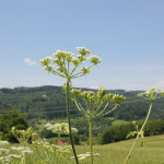 20 Natur Deggenhauser Tal