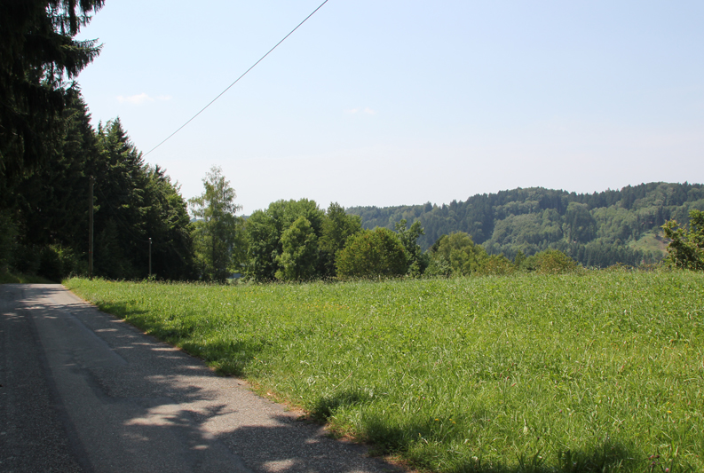 Vom Höchsten ins Deggenhauser Tal | Wanderung Linzgau