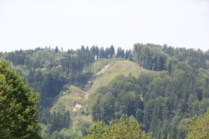24 Holzabbau Deggenhauser Tal
