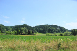25 Im Deggenhauser Tal