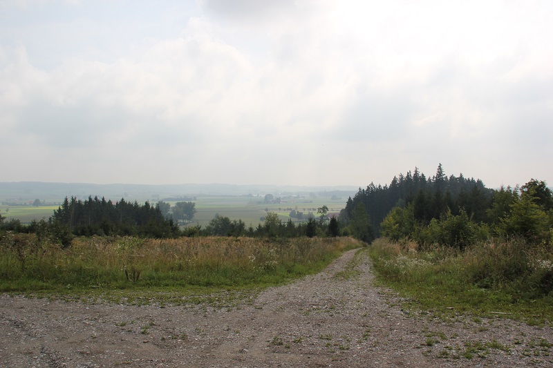 Ausblick vom Haidgauer Berg