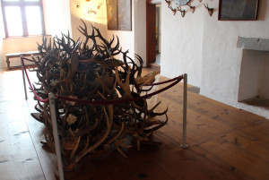 51 Geweihhaufen Waldburg