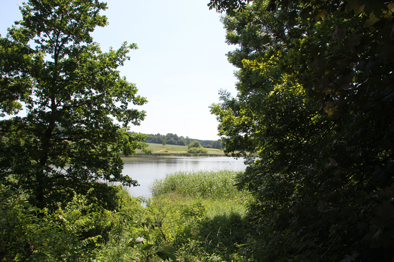 Gutershofer Weiher bei Attenweiler