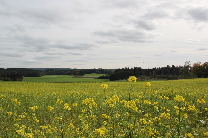 Oberschwaben: Urlaub in Deutschland