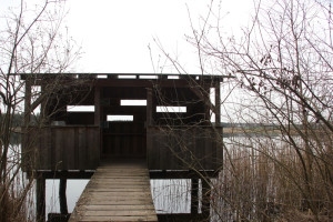 Beobachtungshütte Schreckensee