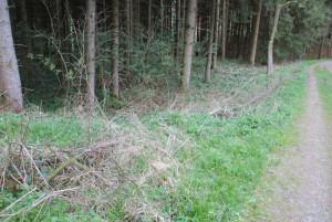 Berg hoch zur Keltischen Fluchtburg Buchkapf