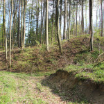 Burgstall Egg bei Ebenweiler