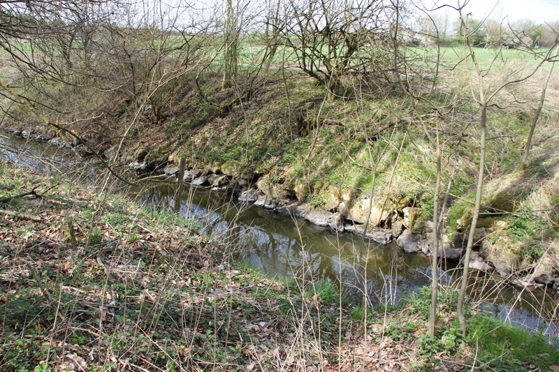 Heiliges Depot der Kelten bei Bad Buchau