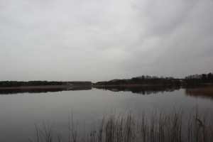 Naturschutzgebiet Schreckensee