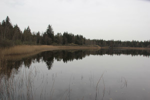 Schreckensee