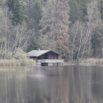 Schreckensee Naturbeobachtung