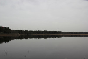 Schreckensee Naturschutzgebiet