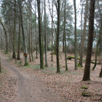 Wanderweg Naturschutzgebiet Schreckensee