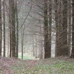 Wanderweg Schreckensee Naturschutzgebiet