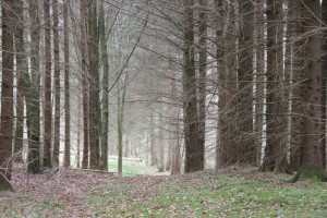 Wanderweg Schreckensee Naturschutzgebiet