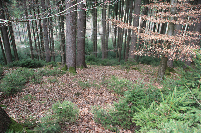 Befestigte Anlage | Kelten (-Fürst?) & Grabhügel