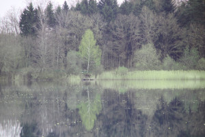 Angelsteg Baggersee Moellenbronn