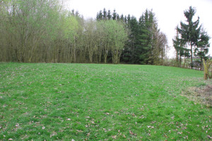 Liegewiese Baggersee Moellenbronn