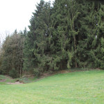 Moosbachwald Kirchberg Iller