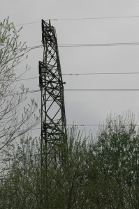 Stromleitung Baggersee Moellenbronn