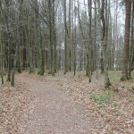 Wanderweg um den Baggersee Moellenbronn