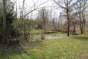 Wasserstelle bei Oggelshausen