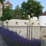 Wehrmauern Schloss Erbach Donau