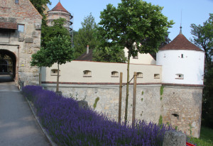 Wehrmauern Schloss Erbach Donau