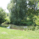 006 Donauzulauf