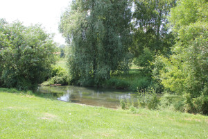 006 Donauzulauf