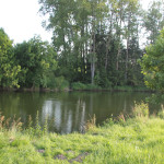 011 Donau hinter Munderkingen