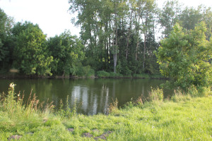 011 Donau hinter Munderkingen