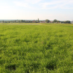 012 Feld Donautal