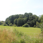 016 Natur Donautal