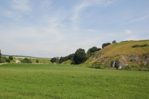 017 Felsen entlang Donau