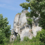 018 Felsformation Donautal