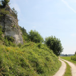 019 Radweg entlang Donau