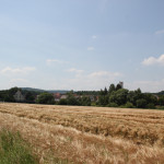 030 Feld neben Radweg
