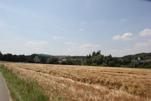 030 Feld neben Radweg