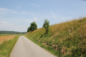 031 Teerstrasse Radweg