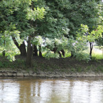 033 Donau Riedlingen