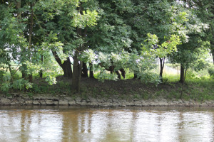 033 Donau Riedlingen